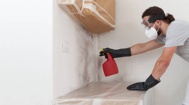 Professional Bathroom Mold Removal technician working in Brielle, NJ