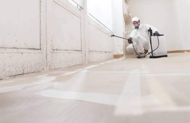 24/7 Emergency Bathroom Mold Removal experts in Brielle, NJ